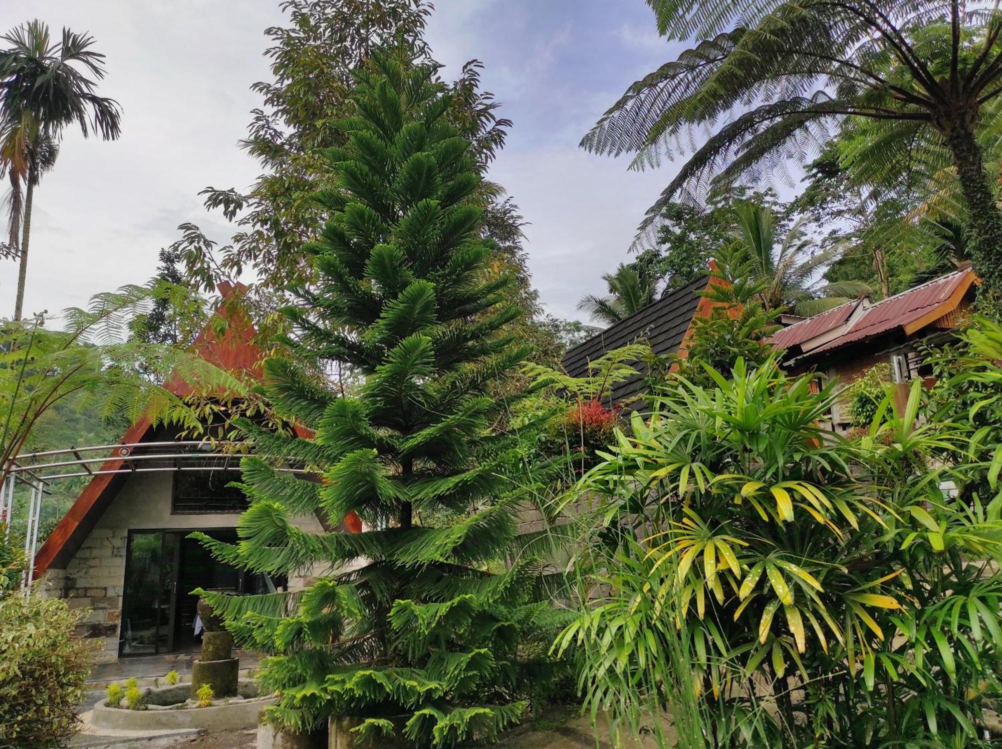 Goa Walet Cottage Praya Dış mekan fotoğraf