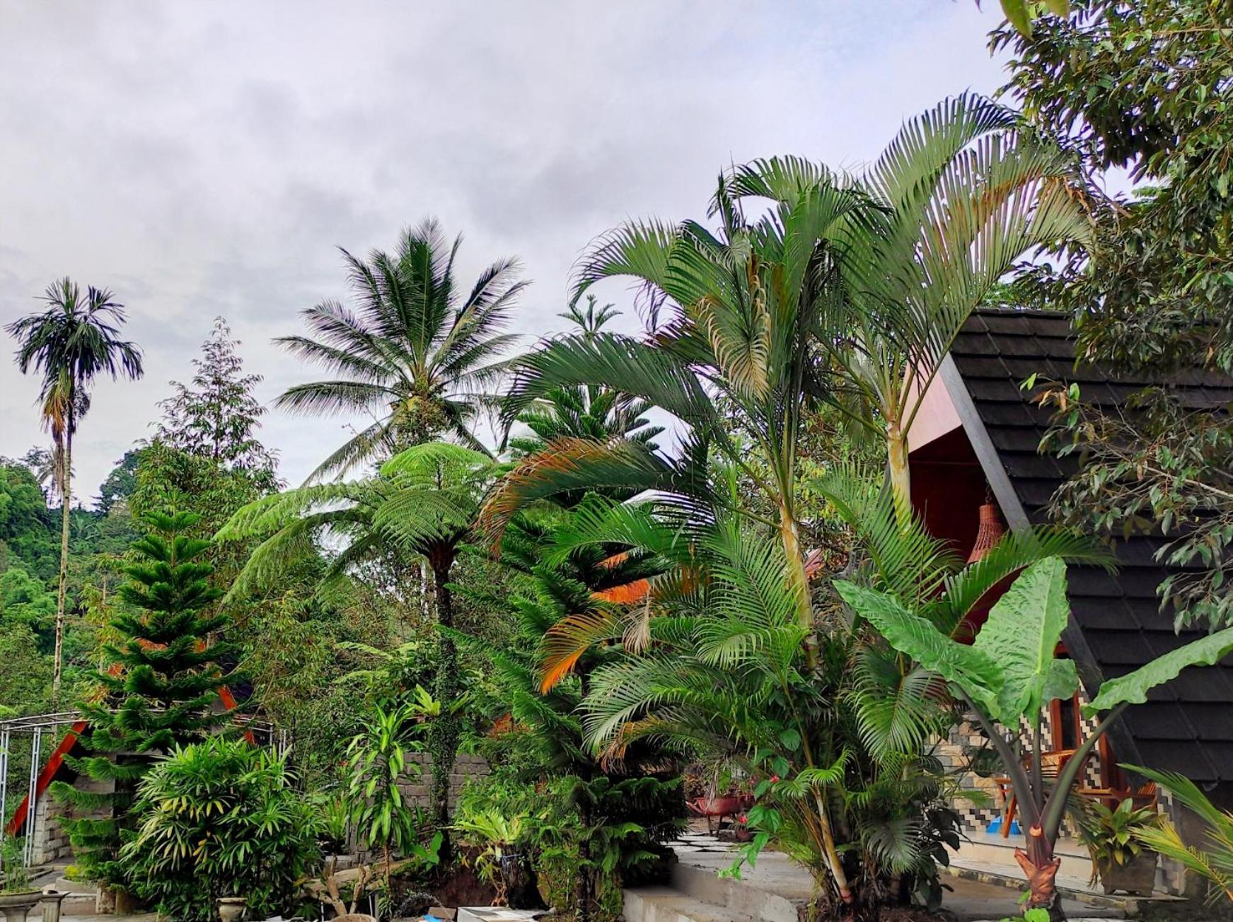 Goa Walet Cottage Praya Dış mekan fotoğraf